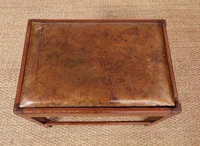 Georgian Metamorphic Library Steps Stool