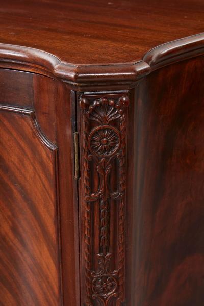 Georgian Serpentine Cabinet