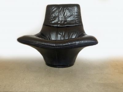 Gerard van den Berg Lounge Arm Chair by Gerard van den Berg Model Mantis 