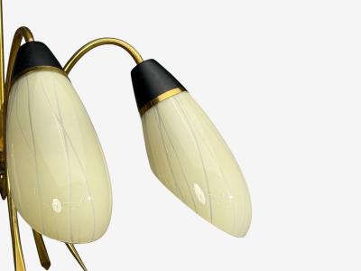 German Modern Five Light Chandelier Brass Metal Glass Germany 1950s