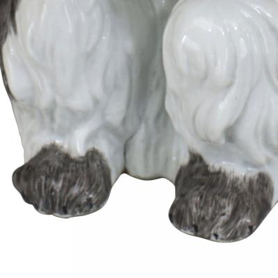 German Porcelain Terrier Dog