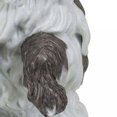 German Porcelain Terrier Dog