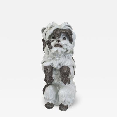 German Porcelain Terrier Dog