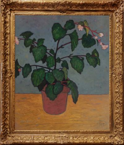 Gershon Benjamin Begonias