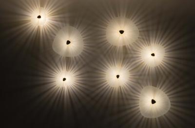 Ghir Studio Set of seven Conchiglie Hand carved Glass Sconce 24kt Gold plated Brass