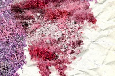 Gianfranco Pezzot IX Genesi