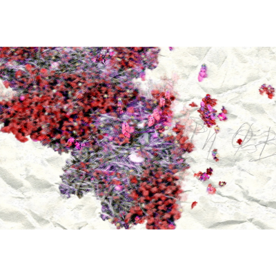 Gianfranco Pezzot X Pleasant Dementia Abstract Photography 2017