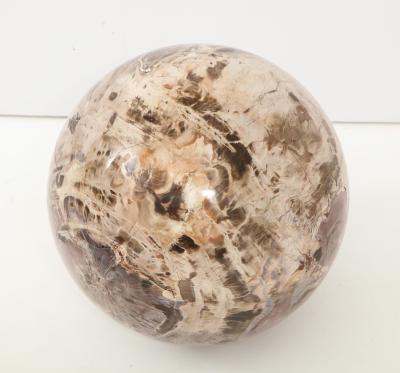 Giant Polished Petrified Wood Sphere 
