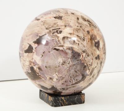 Giant Polished Petrified Wood Sphere 