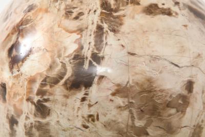 Giant Polished Petrified Wood Sphere 