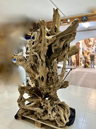 Gigantic Teak Root Stand Up Bar Organic Modern Indonesia 2022