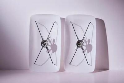 Gino Sarfatti Pair of sconces model 3032 F Arteluce Italy 1954