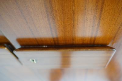Gio Ponti Pair of Gio Ponti Wardrobe Doors from the Hotel Royal Naples 1955