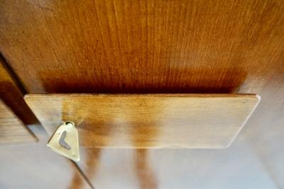 Gio Ponti Pair of large Gio Ponti olm Wardrobe Doors from the Hotel Royal Naples 1955