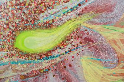 Giorgi Kavelashvili As It Is