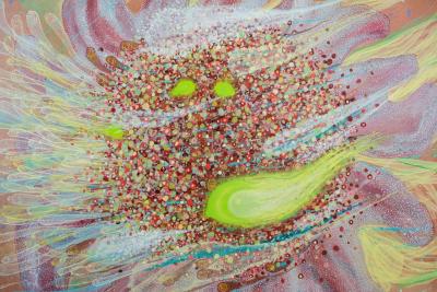 Giorgi Kavelashvili As It Is