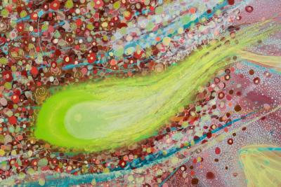 Giorgi Kavelashvili As It Is