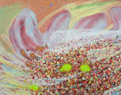 Giorgi Kavelashvili As It Is