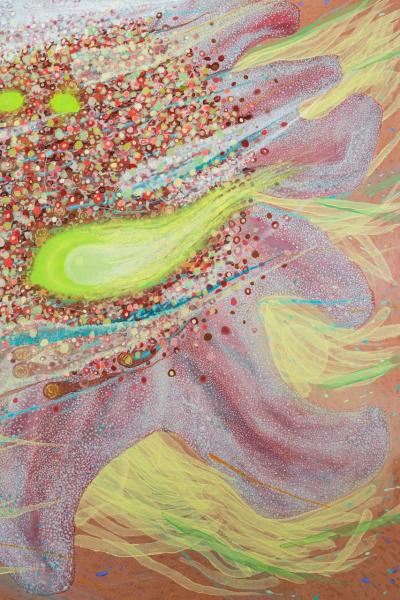 Giorgi Kavelashvili As It Is