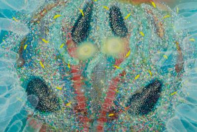 Giorgi Kavelashvili No Chaos No Piece