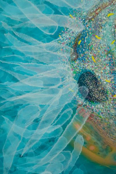 Giorgi Kavelashvili No Chaos No Piece