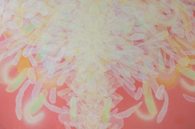 Giorgi Kavelashvili Soul Glows Pink