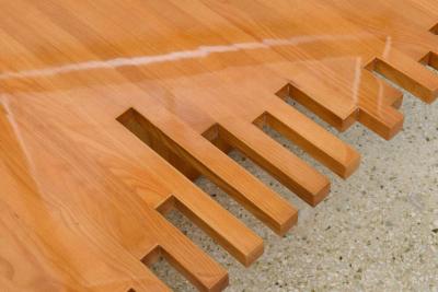 Giovanni Michelucci Italian Mid Century Low Plank Top Coffee Table