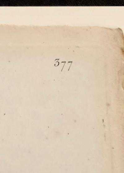 Gladiolus Carnelus Hand Painted Colored Engraving Signed P J Redoute