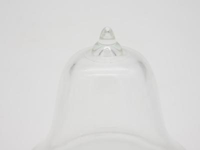 Glass Garden Cloches