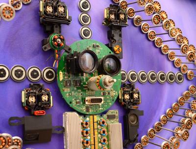 Goga Gomareli Evolution