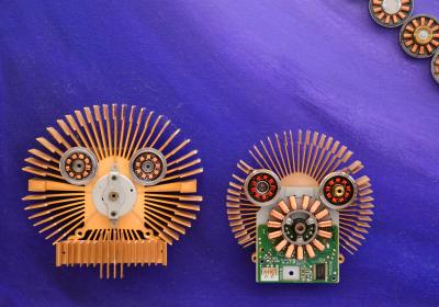 Goga Gomareli Evolution