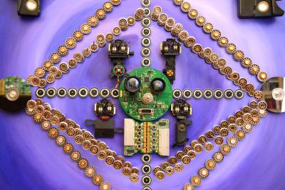 Goga Gomareli Evolution