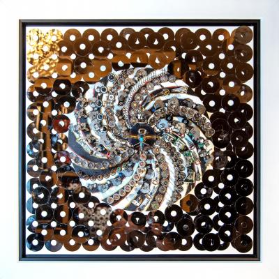 Goga Gomareli Evolution