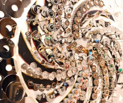 Goga Gomareli Evolution