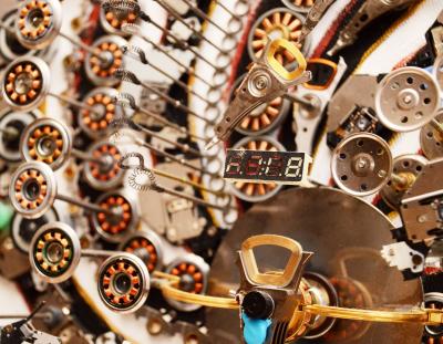 Goga Gomareli Evolution