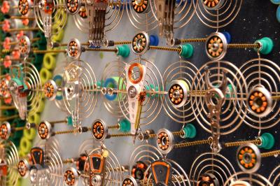 Goga Gomareli Expwctation