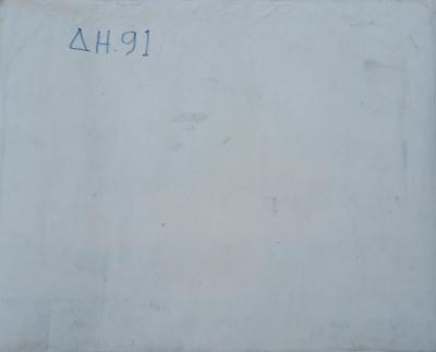 Gonzalo Endara Crow Pueblo cerca del volc n