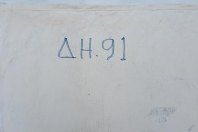 Gonzalo Endara Crow Pueblo cerca del volc n