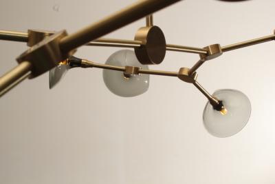 Gordon Auchincloss The Olivia 20 chandelier An adjustable dimmable LED fixture