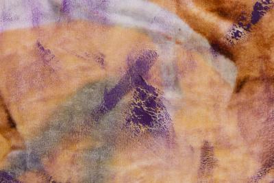 Gordon Holden Gordon Holden American Contemporary Abstract Acrylic and Enamel on Dye Sublimate