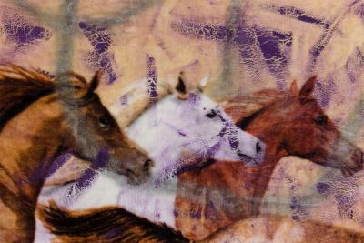 Gordon Holden Gordon Holden American Contemporary Abstract Acrylic and Enamel on Dye Sublimate
