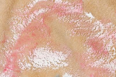 Gordon Holden Gordon Holden American Contemporary Abstract Acrylic and Enamel on Dye Sublimate