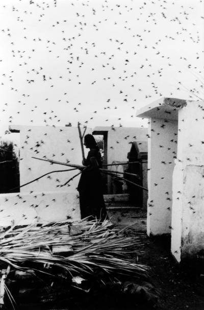 Graciela Iturbide Cementerio Cemetery Juchita n Oaxaca