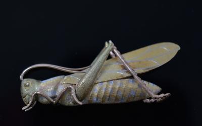 Grasshopper Brooch Gold Silver Inlay