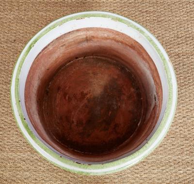 Green and White Fern Leaf Planter