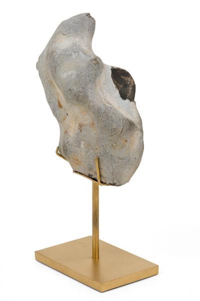 Group of Mounted Natural Sea Stone Specimens