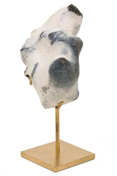 Group of Mounted Natural Sea Stone Specimens