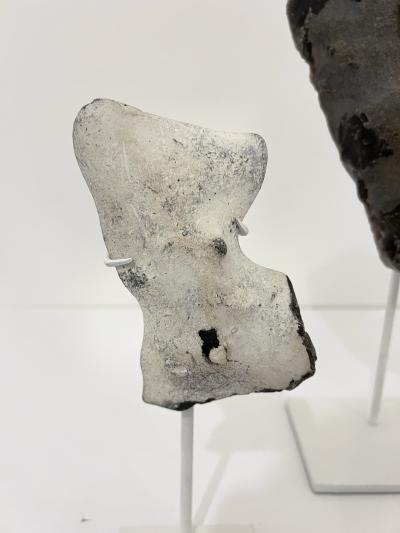 Group of Mounted Natural Sea Stone Specimens from Denmark