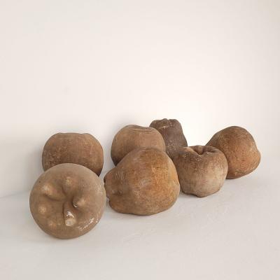 Group of Seven Large Terracotta Unglazed Apples and Pears circa 1900