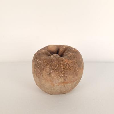 Group of Seven Large Terracotta Unglazed Apples and Pears circa 1900